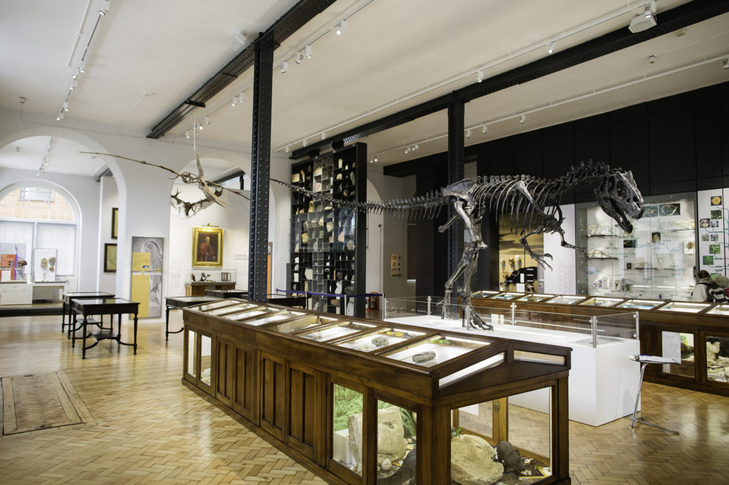 Birmingham’s Lapworth Museum taking on Tate for Museum of the Year title